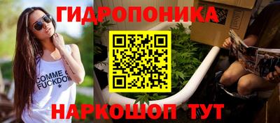крисы Ангарск