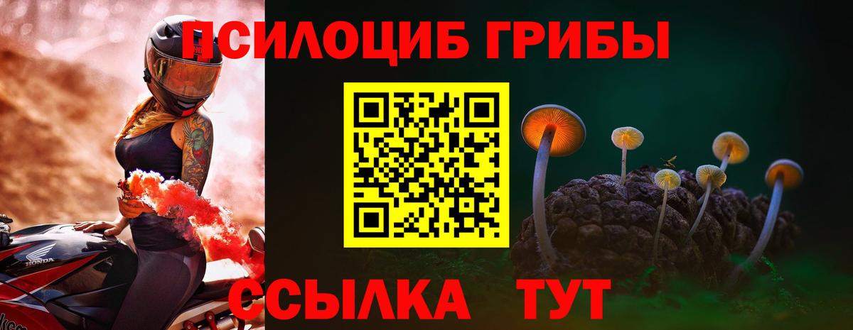 Псилоцибиновые грибы Cubensis Коммунар